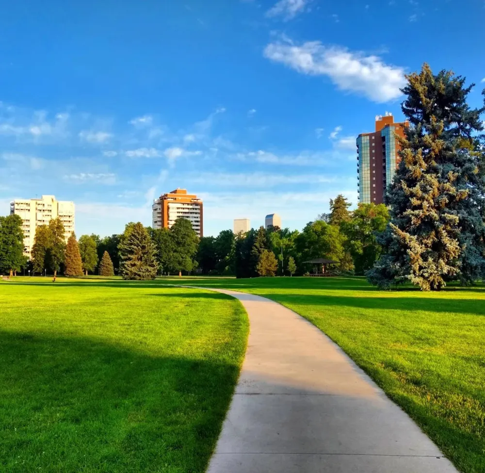 A curving path across the open lawns of Cheesman Park in Denver, framed by a blue spruce with Capitol Hill high-rises behind