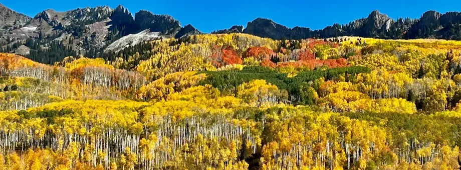 Hillsides of gold and orange aspens on Kebler Pass below jagged peaks