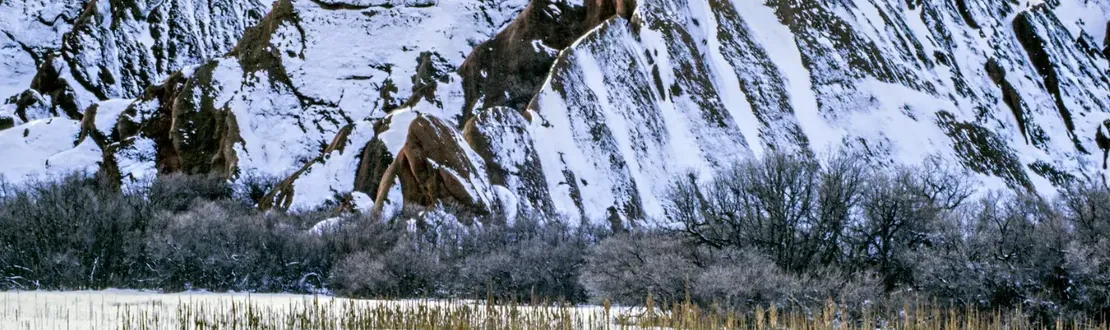 Tilted sandstone ridges at Roxborough State Park covered in snow above a snowy meadow