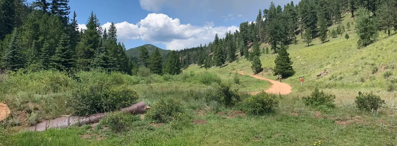 Green meadow and dirt trail winding into a pine-covered valley at Staunton State Park
